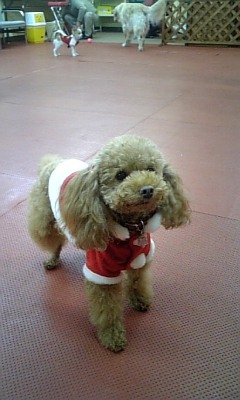 071222_142437.jpg