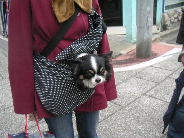 2007 12 22 010.jpg