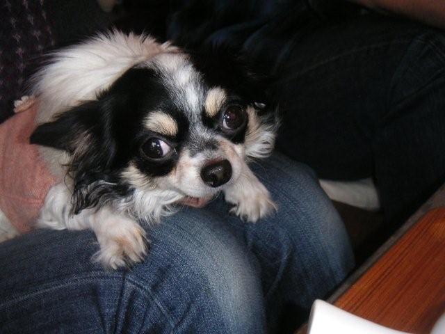 2007 12 22 015.jpg