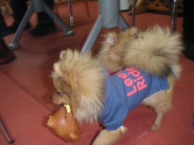 2007 12 22 046.jpg