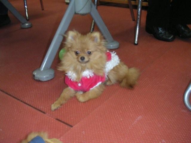 2007 12 22 047.jpg