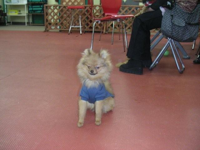 2007 12 22 040.jpg