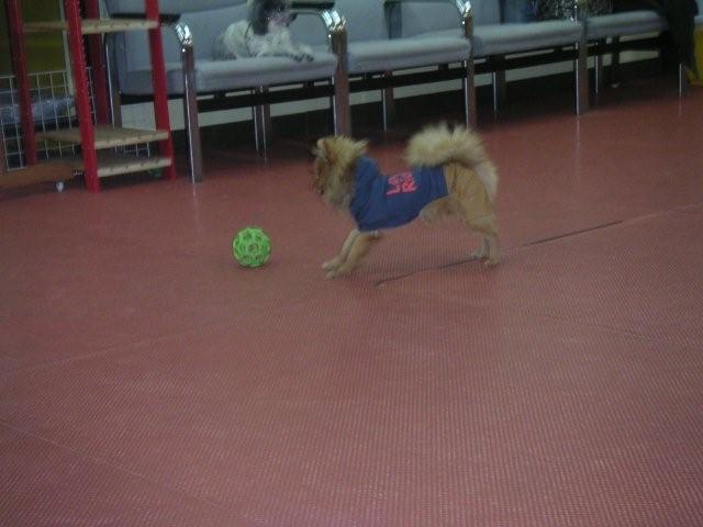 2007 12 22 041.jpg