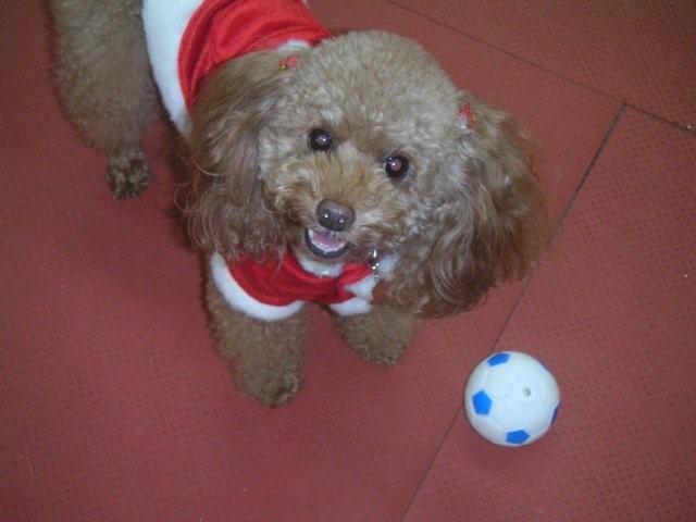 2007 12 22 042.jpg