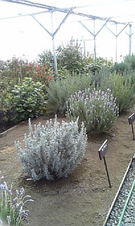 080105_102259_ed.jpg