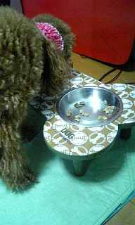080116_194130_ed.jpg