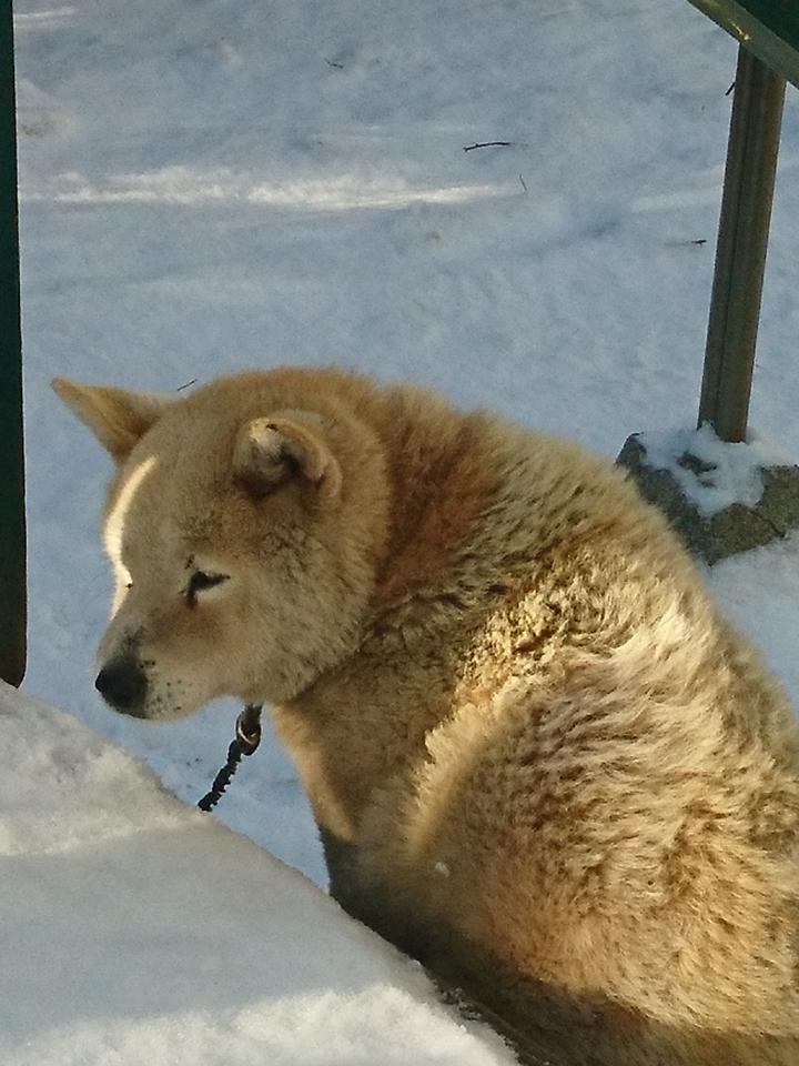 DSC_4135.JPG