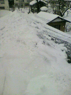 2010010614170000.jpg