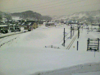 2010010615380001.jpg