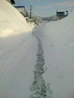 2010011809030000.jpg