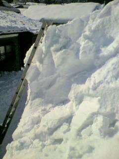 2010011811040000.jpg