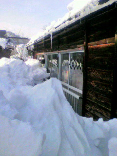 2010011811280000.jpg