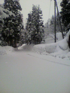 2010021407150000.jpg