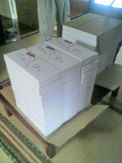 2010061408400000.jpg