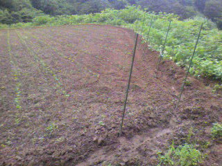 2010062814570000.jpg