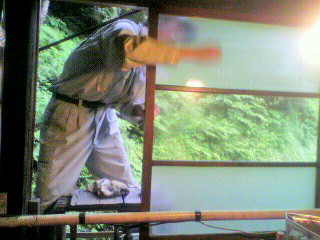 2010070116560000.jpg