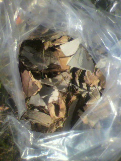 2010071909260001.jpg