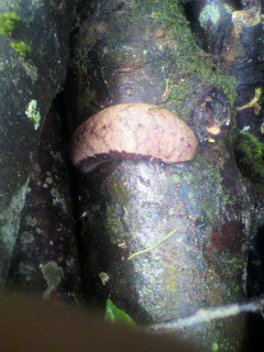 2010071610350000.jpg