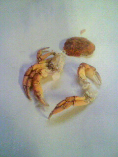 2010101416250000.jpg