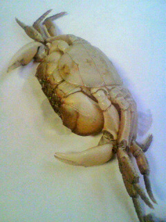 2010101416270000.jpg