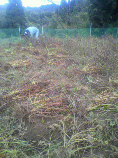 2010110414590000.jpg