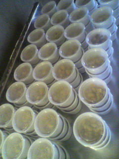 2010120110430000.jpg