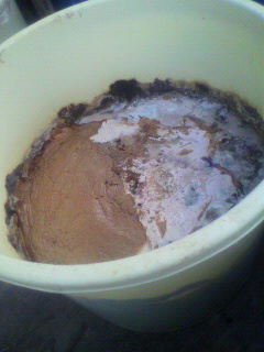 2010120609200000.jpg