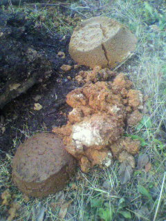 2010120609200001.jpg