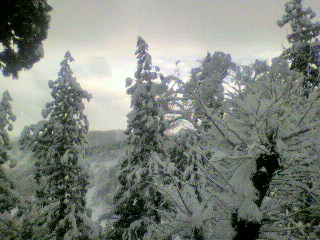 2011010711460000.jpg