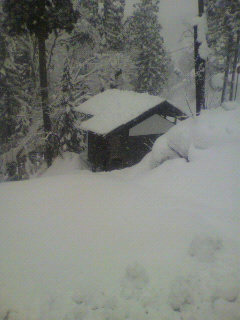 2011011214580000.jpg