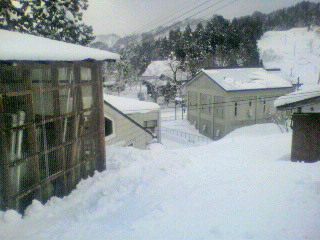 2011011715000000.jpg