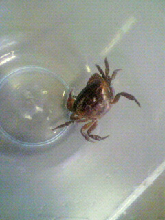 2011011716190000.jpg