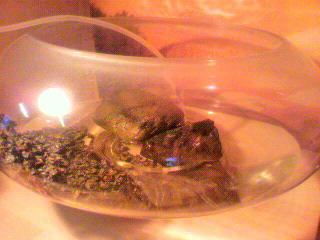 2011011716290001.jpg