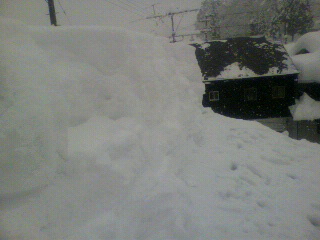 2011011810530000.jpg