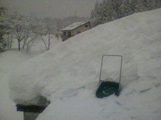 2011011810540000.jpg