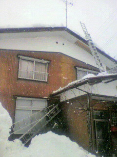 2011012007320000.jpg