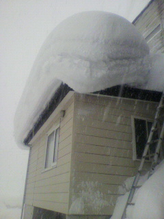 2011012010080000.jpg