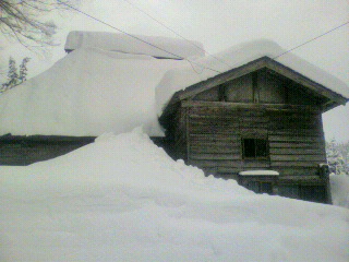2011012115120000.jpg