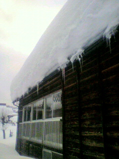 2011012115580000.jpg