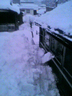 2011012117110000.jpg
