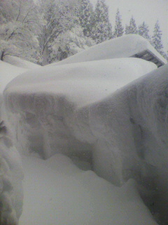 2011012310030000.jpg