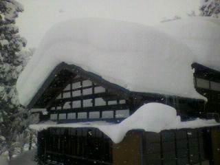 2011012310310000.jpg