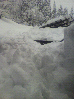 2011012311260000.jpg
