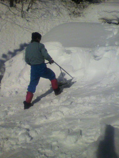 2011020311060000.jpg