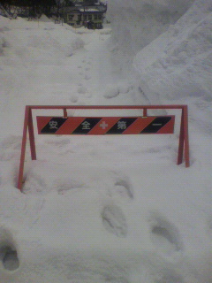 2011020910270000.jpg