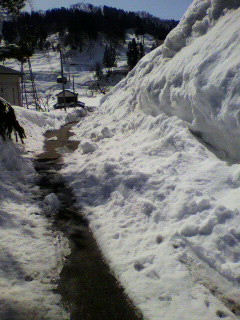 2011031410120000.jpg