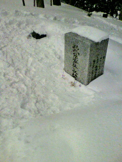 2011031810150001.jpg