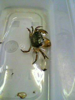 2011042717410001.jpg