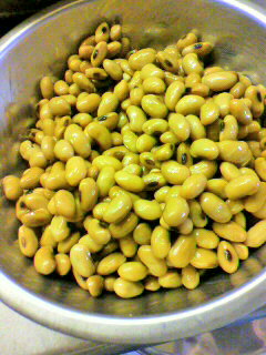 2011050310500000.jpg