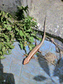 2011050713130000.jpg